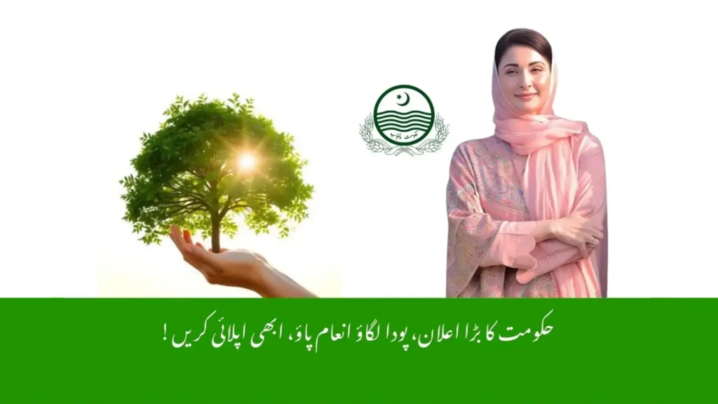 Cm punjab green credit program